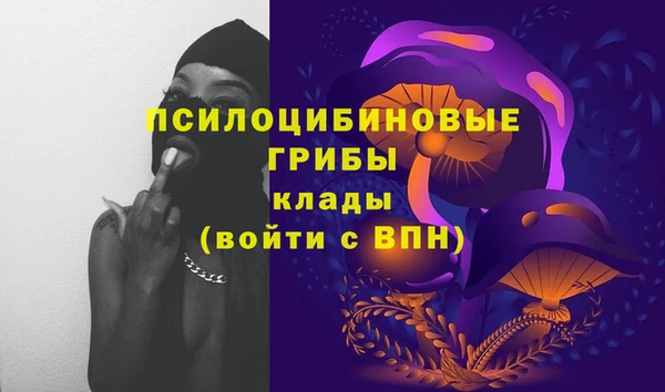 apvp Пересвет