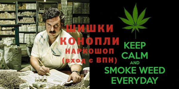 apvp Пересвет
