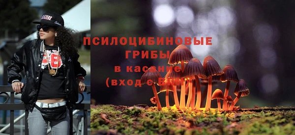 apvp Пересвет